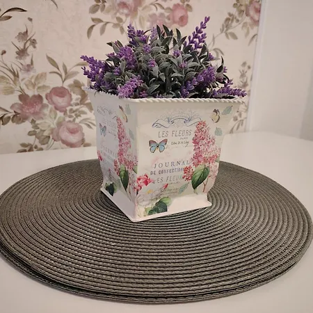 Appartement Rhein 3-zimmer Garten Free Parking Netflix Premium Premium Koblenz (Rhineland-Palatinate)