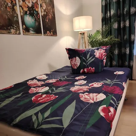 Rhein 3-zimmer Garten Free Parking Netflix Premium Premium Coblenza