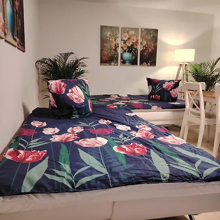 Rhein 3-zimmer Garten Free Parking Netflix Premium Premium * Coblenza