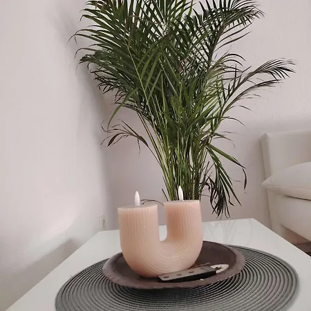 Appartement Rhein 3-zimmer Garten Free Parking Netflix Premium Premium *