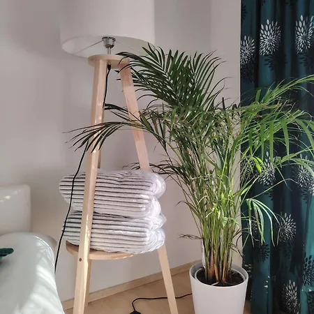 Apartamento Rhein 3-zimmer Garten Free Parking Netflix Premium Premium Coblença