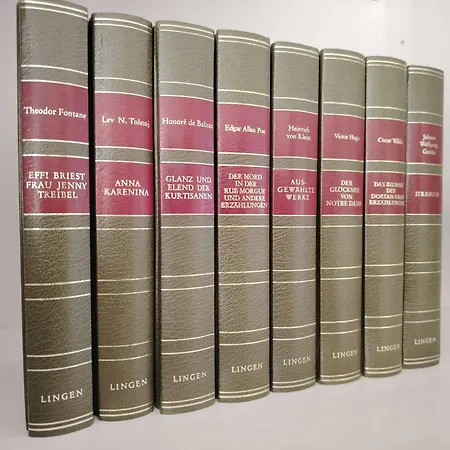 Rhein 3-zimmer Garten Free Parking Netflix Premium Premium كوبلنس