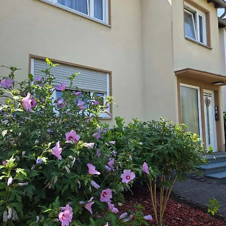 Apartment Rhein 3-zimmer Garten Free Parking Netflix Premium Premium Koblenz (Rhineland-Palatinate)