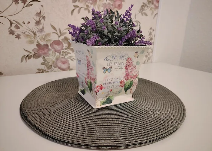 アパート Rhein 3-zimmer Garten Free Parking Netflix Premium Premium コブレンツ