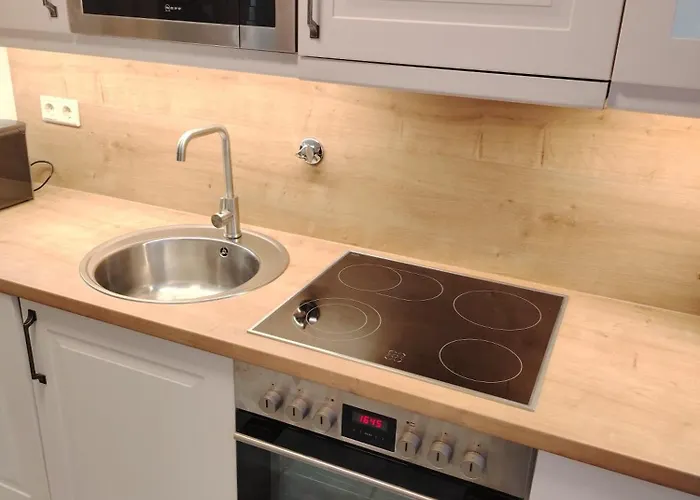 Rhein 3-zimmer Garten Free Parking Netflix Premium Premium コブレンツ