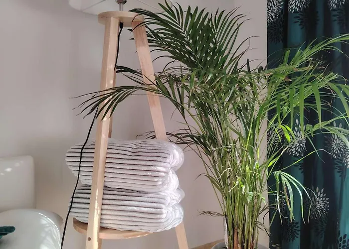 アパート Rhein 3-zimmer Garten Free Parking Netflix Premium Premium コブレンツ